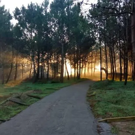 Casa Amelia With Sunset Terrace Lägenhet *